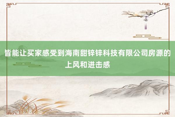 皆能让买家感受到海南甜锌锌科技有限公司房源的上风和进击感